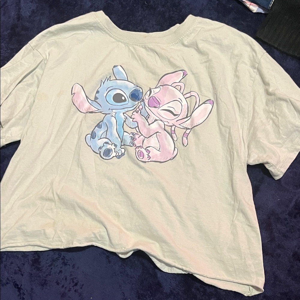 Disney Crop Top with Blue and Pink Characters
